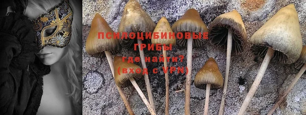 ГАЛЛЮЦИНОГЕННЫЕ ГРИБЫ Абдулино